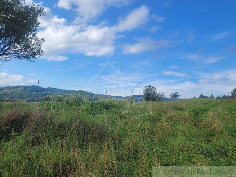 Lysá pod Makytou Agrarian and forest land Sale reality Púchov