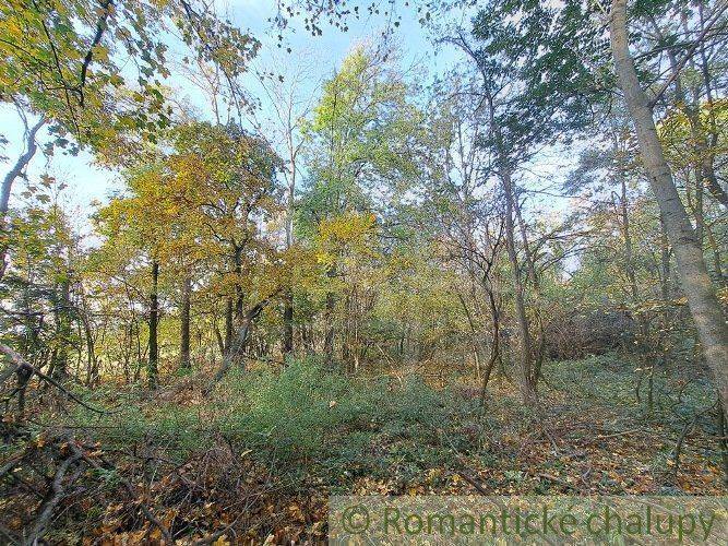 Horné Lefantovce Recreational land Sale reality Nitra