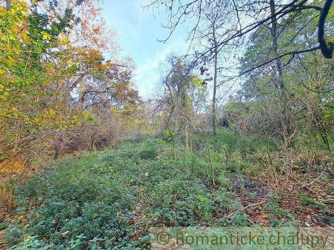 Horné Lefantovce Recreational land Sale reality Nitra