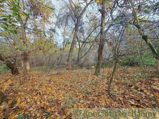 Horné Lefantovce Recreational land Sale reality Nitra