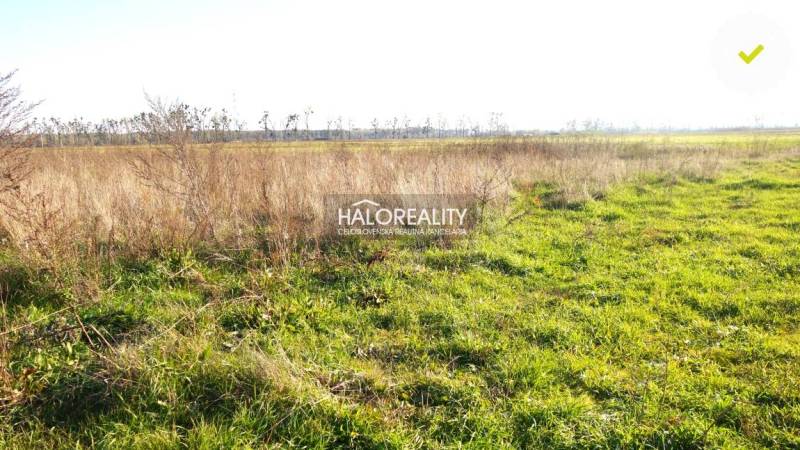 Brodské Land – for living Sale reality Skalica