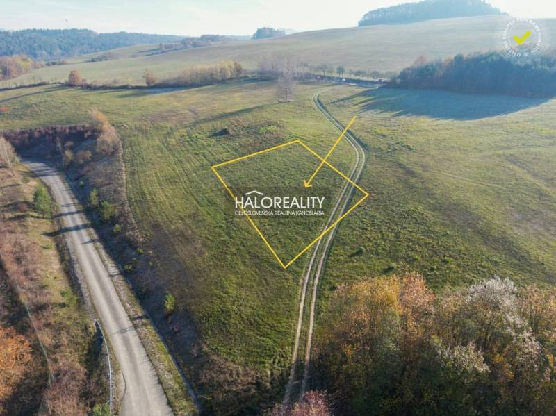 Sverepec Agrarian and forest land Sale reality Považská Bystrica