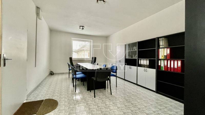 Nová Ves nad Váhom Offices Rent reality Nové Mesto nad Váhom