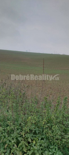 Nitra Agrarian and forest land Sale reality Nitra