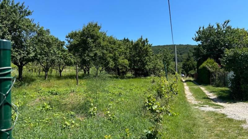 Nitra Land – for living Sale reality Nitra