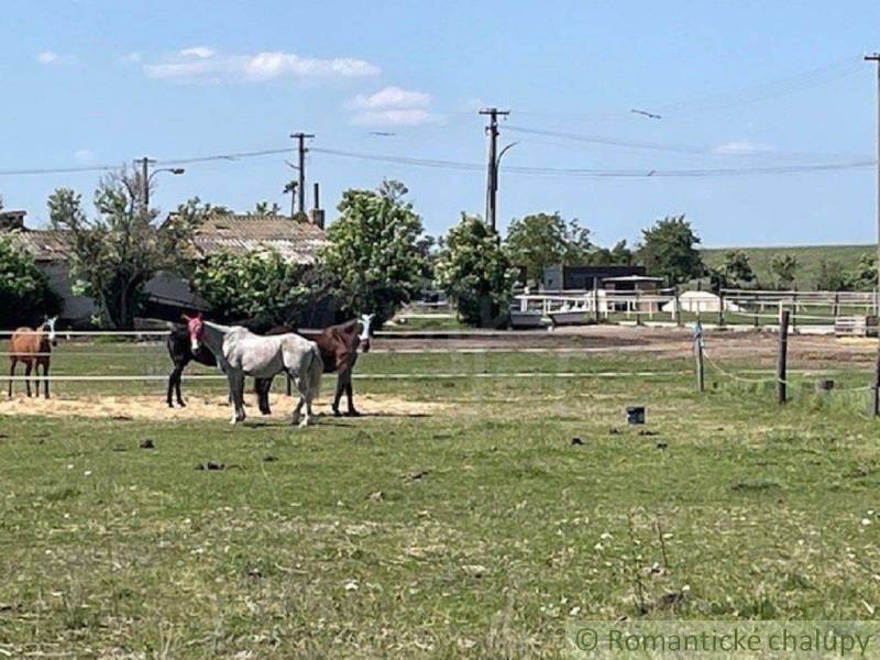 Dunajská Streda Land – for living Sale reality Dunajská Streda