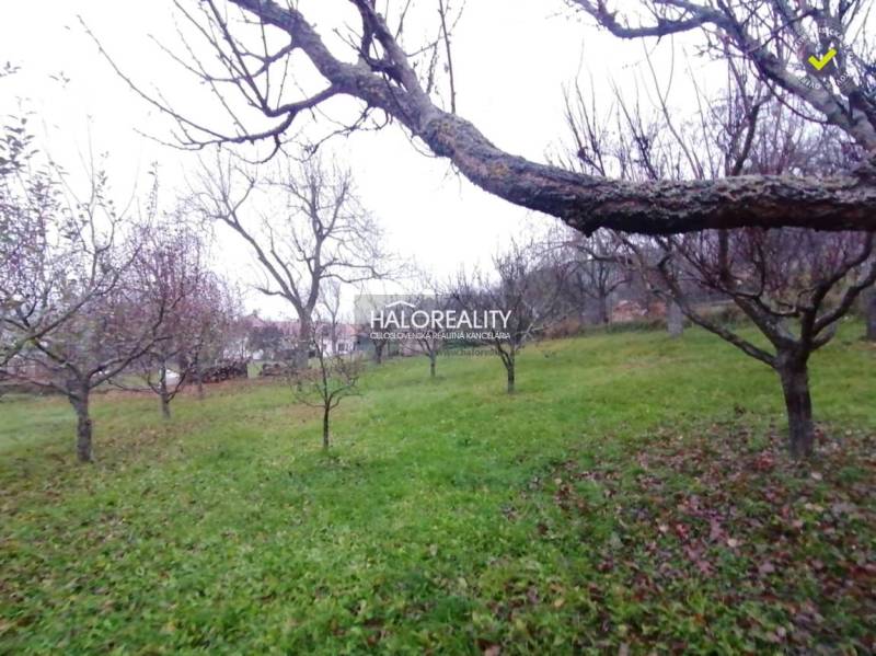 Lovinobaňa Land – for living Sale reality Lučenec