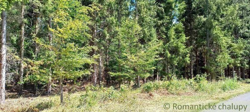 Ábelová Agrarian and forest land Sale reality Lučenec