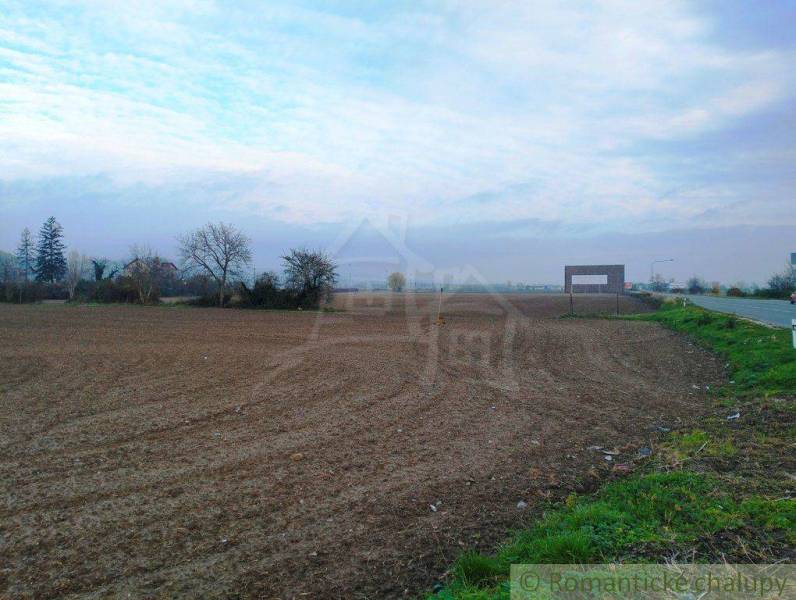 Trenčianske Bohuslavice Agrarian and forest land Sale reality Nové Mesto nad Váhom