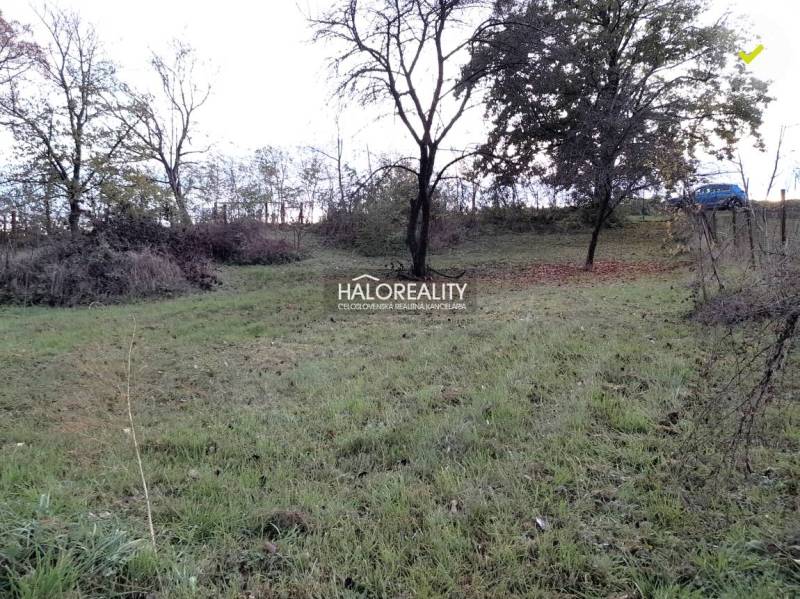 Dolný Lopašov Land – for living Sale reality Piešťany