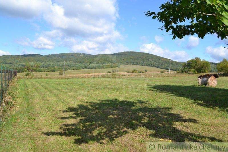 Bardejov Agrarian and forest land Sale reality Bardejov