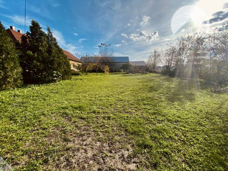 Čiližská Radvaň Land – for living Sale reality Dunajská Streda