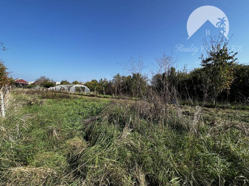 Dolný Bar Land – for living Sale reality Dunajská Streda