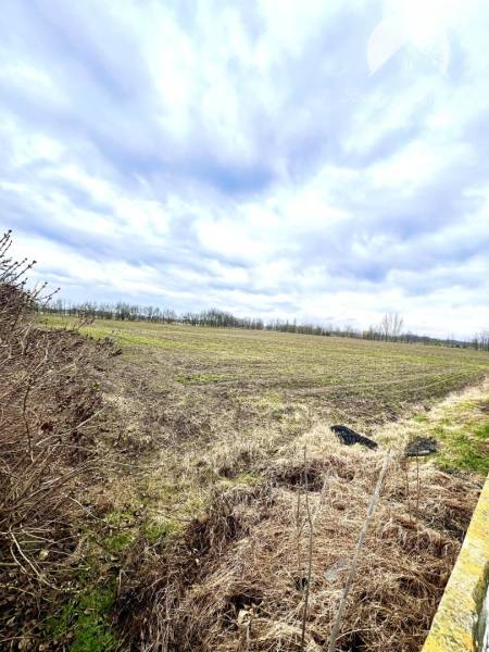 Veľké Dvorníky Agrarian and forest land Sale reality Dunajská Streda