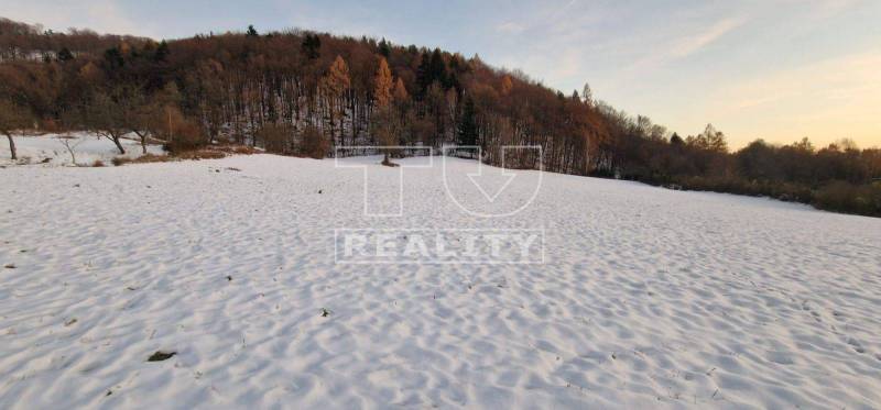 Dohňany Land – for living Sale reality Púchov