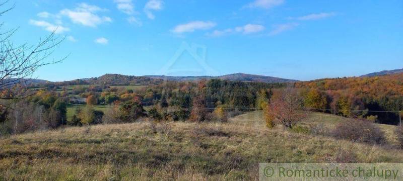 Ábelová Agrarian and forest land Sale reality Lučenec