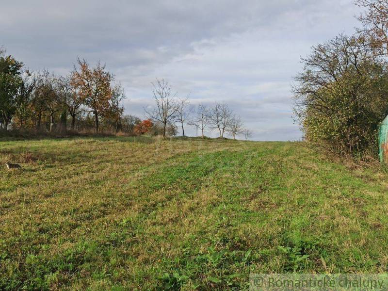 Vranov nad Topľou Agrarian and forest land Sale reality Vranov nad Topľou