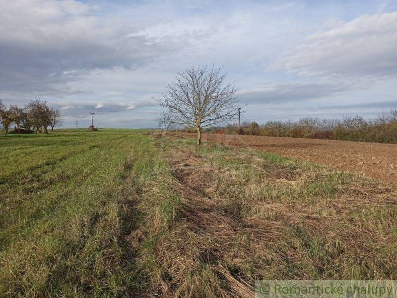 Vranov nad Topľou Agrarian and forest land Sale reality Vranov nad Topľou