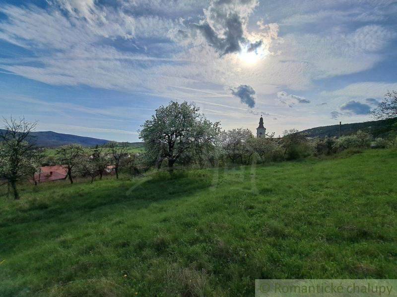 Jedľové Kostoľany Land – for living Sale reality Zlaté Moravce