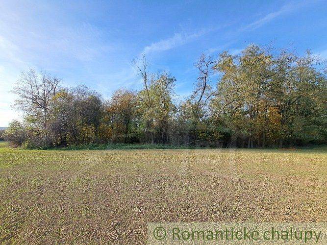 Horné Lefantovce Recreational land Sale reality Nitra