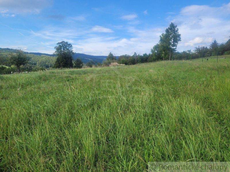 Lysá pod Makytou Agrarian and forest land Sale reality Púchov