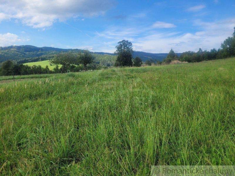 Lysá pod Makytou Agrarian and forest land Sale reality Púchov