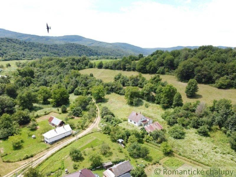 Osadné Agrarian and forest land Sale reality Snina