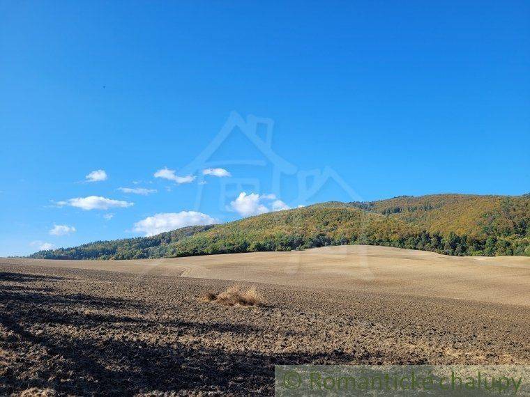 Dohňany Agrarian and forest land Sale reality Púchov