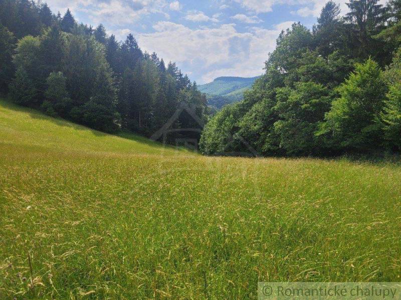 Záriečie Agrarian and forest land Sale reality Púchov