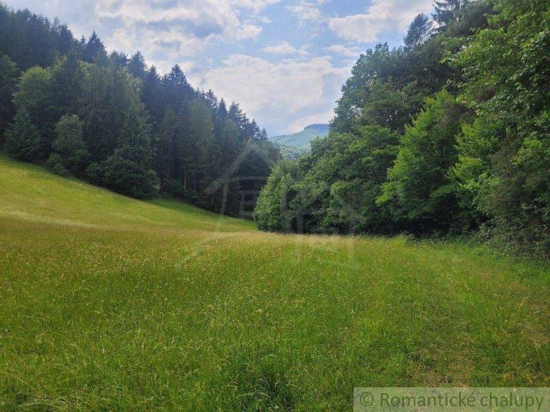 Záriečie Agrarian and forest land Sale reality Púchov