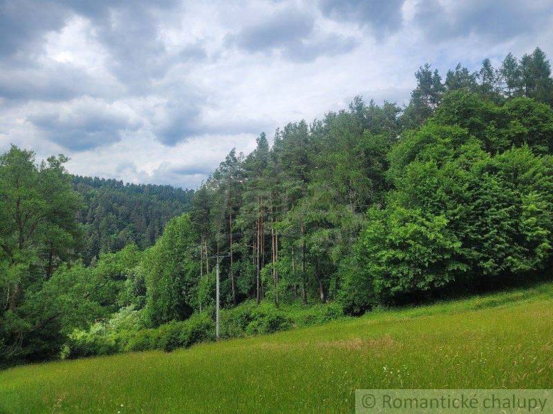 Záriečie Agrarian and forest land Sale reality Púchov