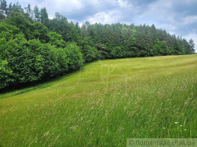 Záriečie Agrarian and forest land Sale reality Púchov