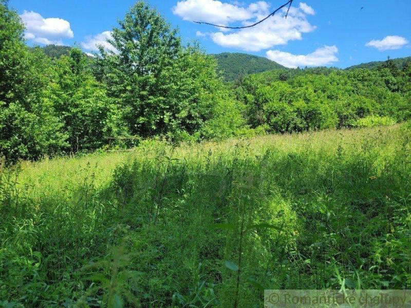 Považská Bystrica Agrarian and forest land Sale reality Považská Bystrica