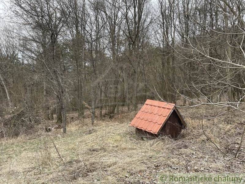 Krásnohorská Dlhá Lúka Cottage Sale reality Rožňava