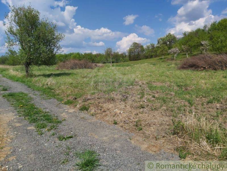 Dolné Kočkovce Agrarian and forest land Sale reality Púchov