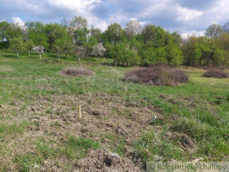 Dolné Kočkovce Agrarian and forest land Sale reality Púchov