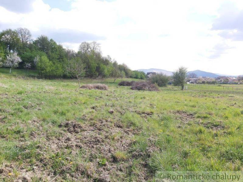 Dolné Kočkovce Agrarian and forest land Sale reality Púchov