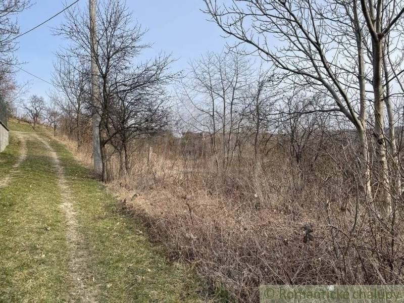 Jablonov nad Turňou Agrarian and forest land Sale reality Rožňava