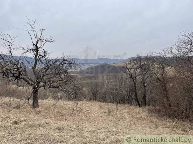 Jablonov nad Turňou Agrarian and forest land Sale reality Rožňava