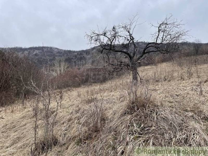 Jablonov nad Turňou Agrarian and forest land Sale reality Rožňava