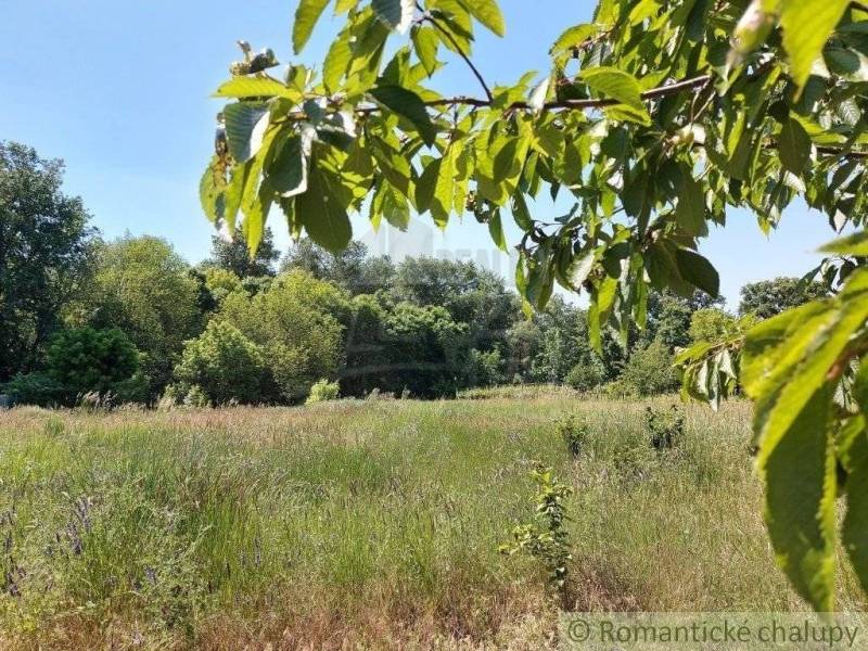 Radvaň nad Dunajom Agrarian and forest land Sale reality Komárno