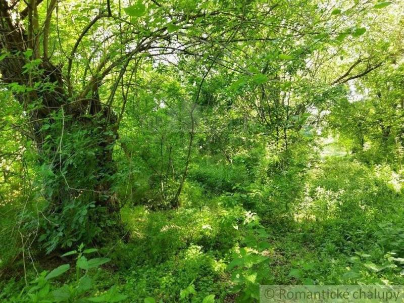 Radvaň nad Dunajom Agrarian and forest land Sale reality Komárno