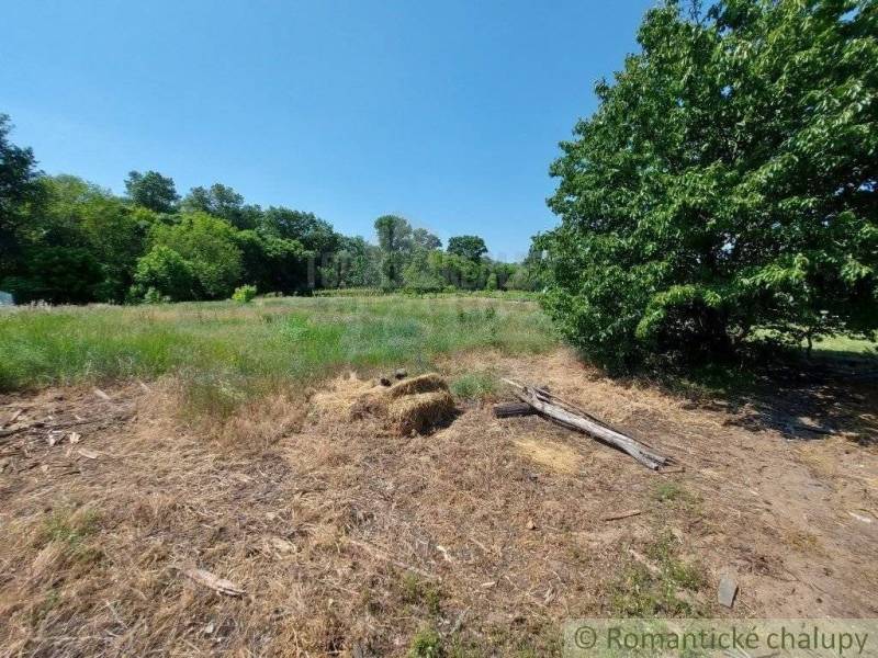 Radvaň nad Dunajom Agrarian and forest land Sale reality Komárno