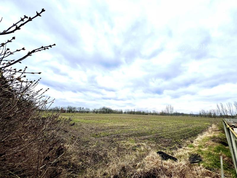 Veľké Dvorníky Agrarian and forest land Sale reality Dunajská Streda