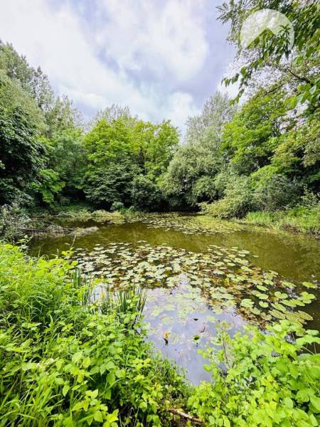 Dedina Mládeže Land – for living Sale reality Komárno