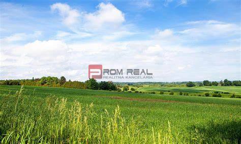 Agrarian and forest land Sale reality Bratislava V