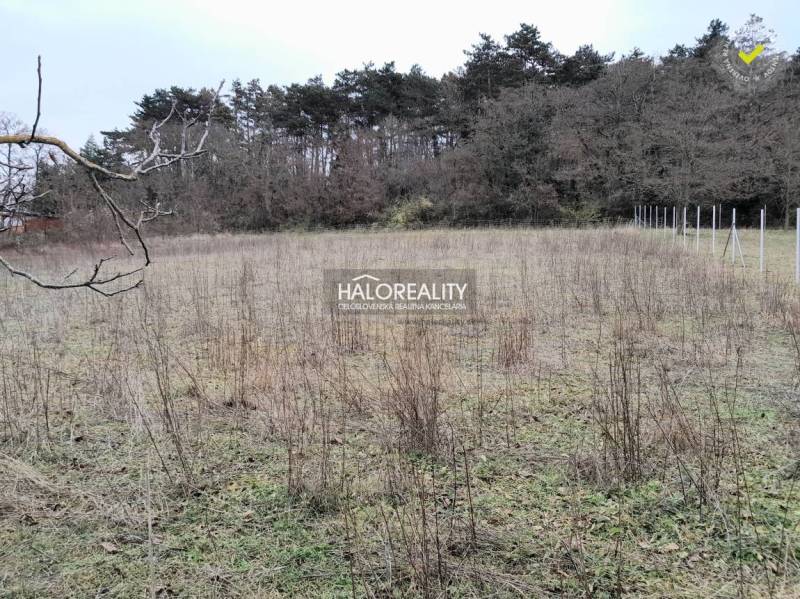 Koplotovce Land – for living Sale reality Hlohovec