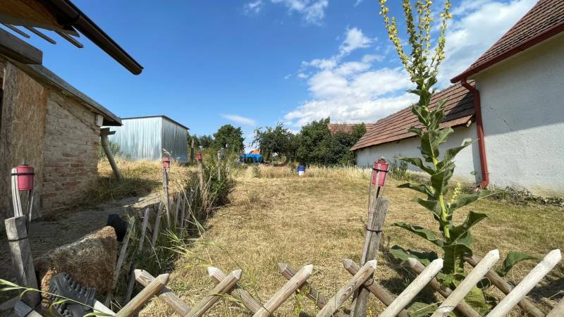 Sasinkovo Family house Sale reality Hlohovec