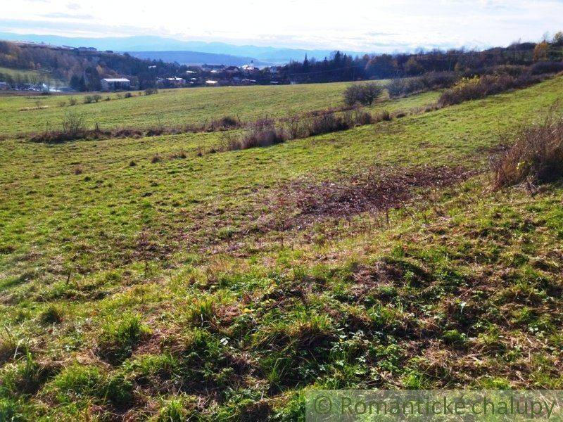 Levoča Agrarian and forest land Sale reality Levoča