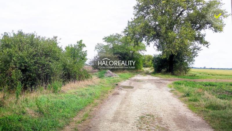 Kalinkovo Agrarian and forest land Sale reality Senec